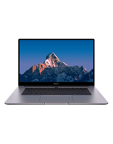 HUAWEI Matebook B3 420